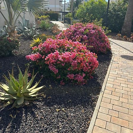 Beautiful Apartment Green Hills Orihuela Costa 외부 사진